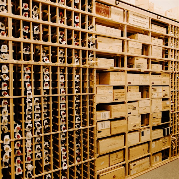 Photo by Steven Robles