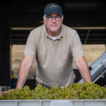 Winemaker standing over vat of white grapes