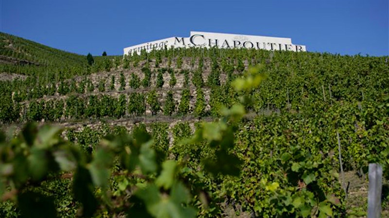 Jan. 31 - Feb. 28, 2026