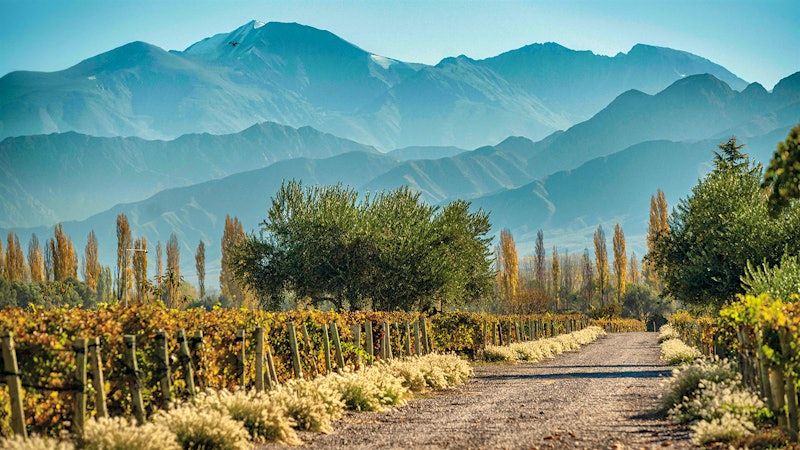 Argentina’s Premium Pivot