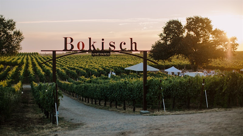 Rooted in Spain, Grown in Lodi