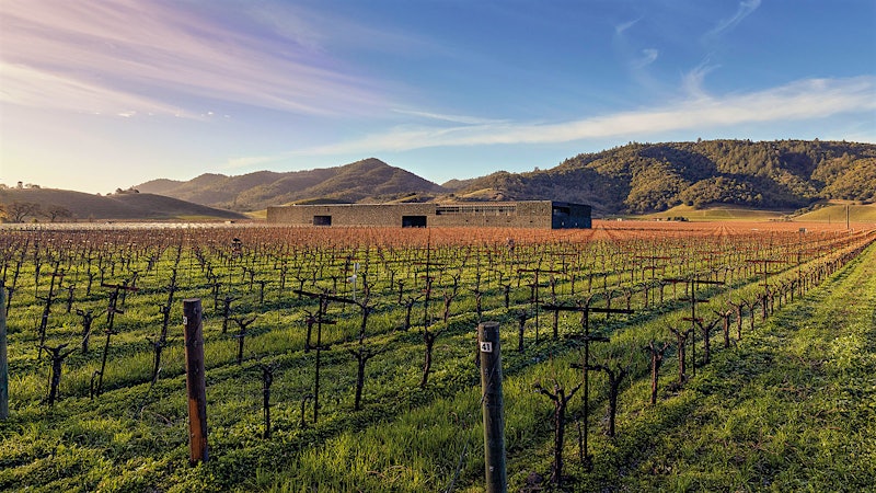 Napa Cabernet 2015: 10 Years After