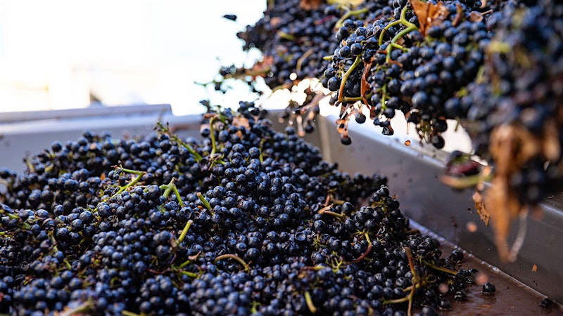 Alphabetical Guide to California Pinot Noir