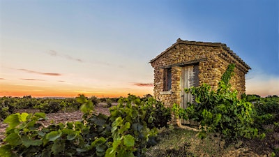 Insider Weekly: Jan. 8 Edition