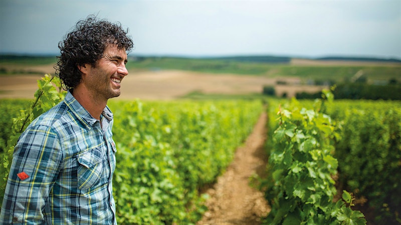 Rising Stars of the Loire