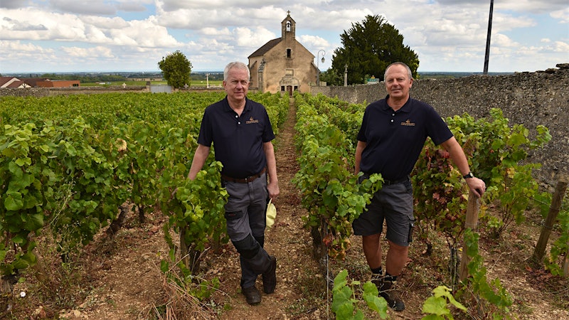 French Wineries Confront U.S. Tariffs