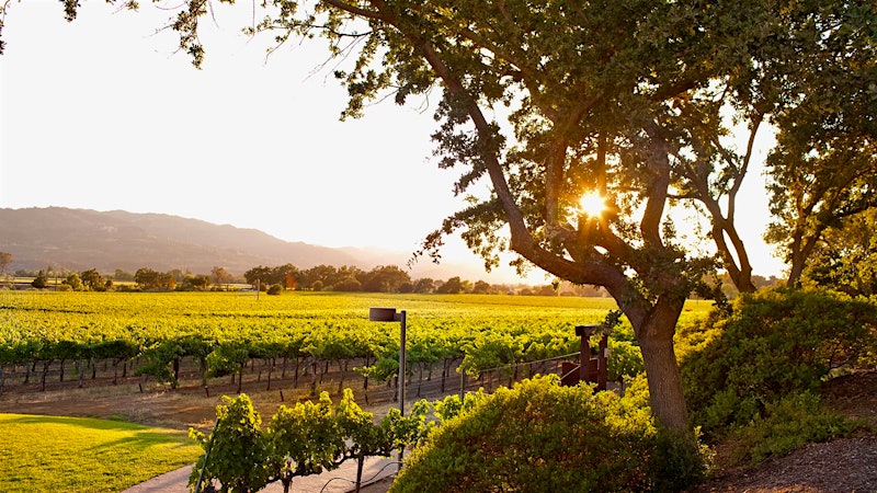 SND: Trinchero To Acquire Mumm Napa From Pernod Ricard