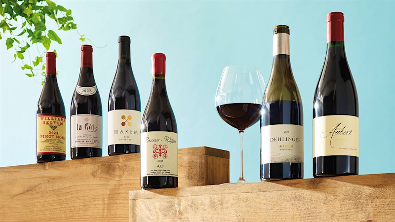 Pinot Noir Ascendant