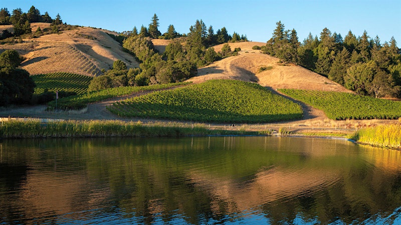 AVA Spotlight: Anderson Valley