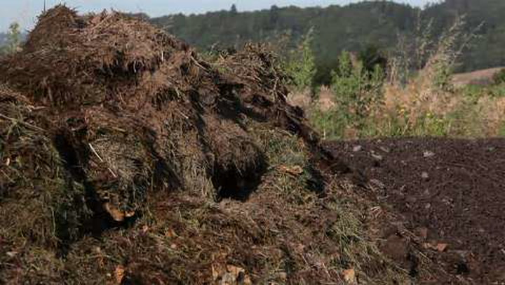 Video Contest 2010, Honorable Mention: Compost?!