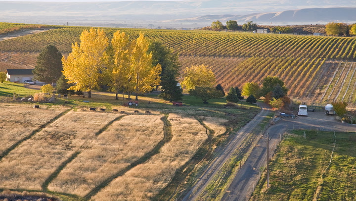 Washington's Champoux Vineyard: Silky Bordeaux-Style Reds with Andrew Will Winery