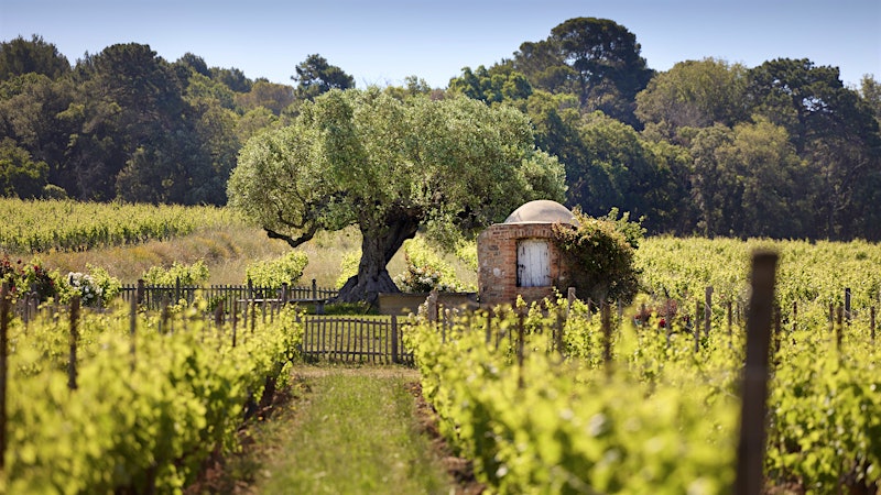 Alphabetical Guide to Provence