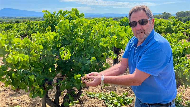 Down to Earth in Châteauneuf-du-Pape
