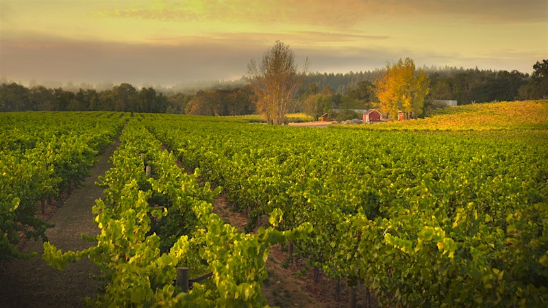 Generation Next at Ramey