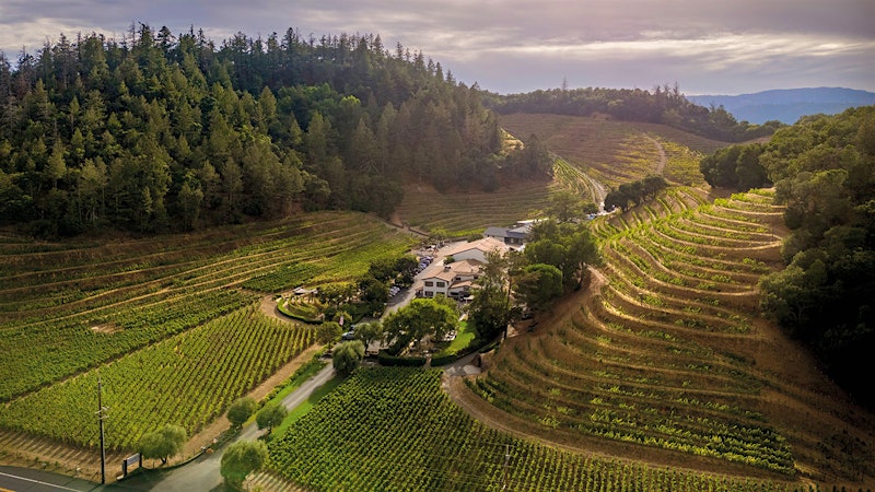 The Top 100 Wines of 2025