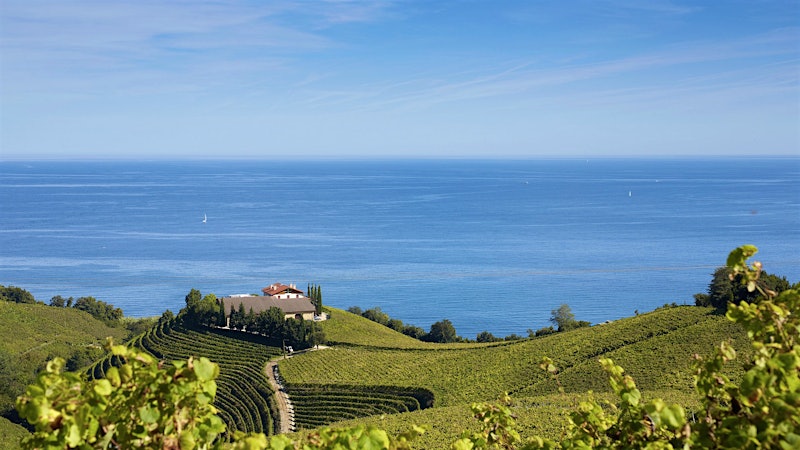 Alphabetical Guide to Txakolina