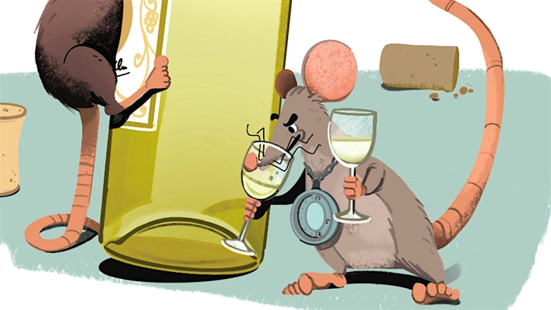 Study Shows Rats Can Distinguish Wines by Smell