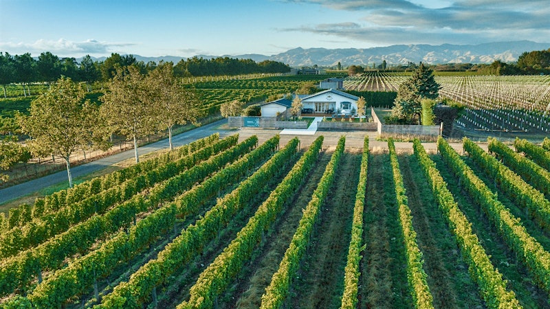 Trading Up on New Zealand