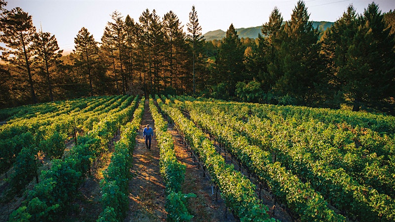 Alphabetical Guide to California Merlot