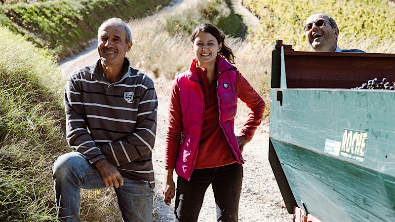 Gigondas Blanc: Exciting and New