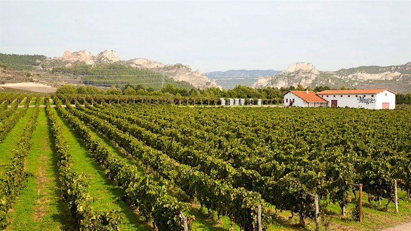 2025 Wine Value of the Year